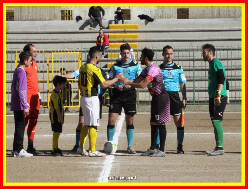 190310 Cephal_Torrenov 033_tn.jpg